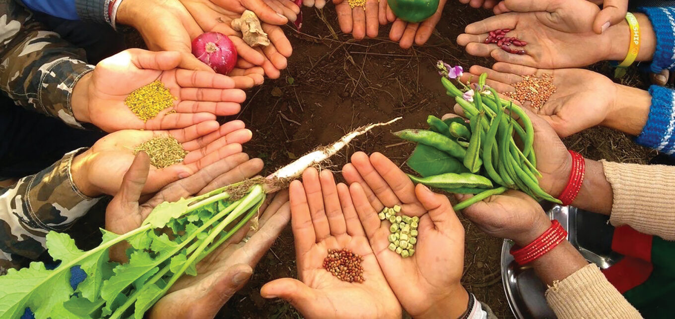 What Is Regenerative Farming? – Mother Earth News - Vimarsana News